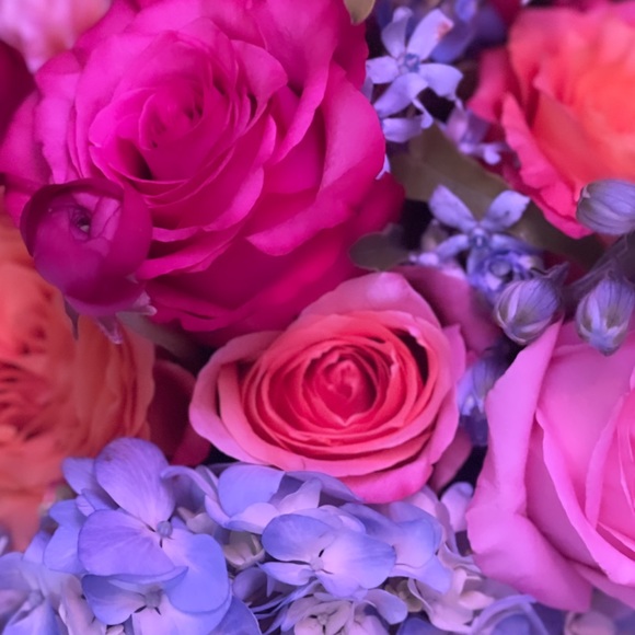 Meet your Posher, Christine - Picture 1 of 1